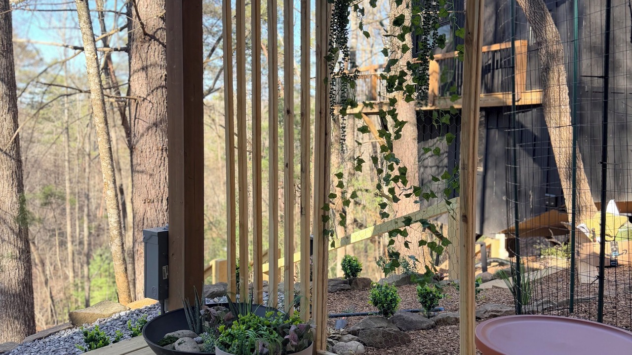 Photo of Patio Balcony in My Mountain