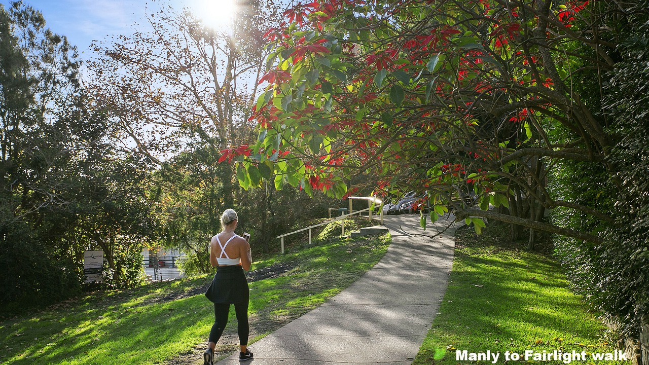 Photo of Outdoor in Fairlight