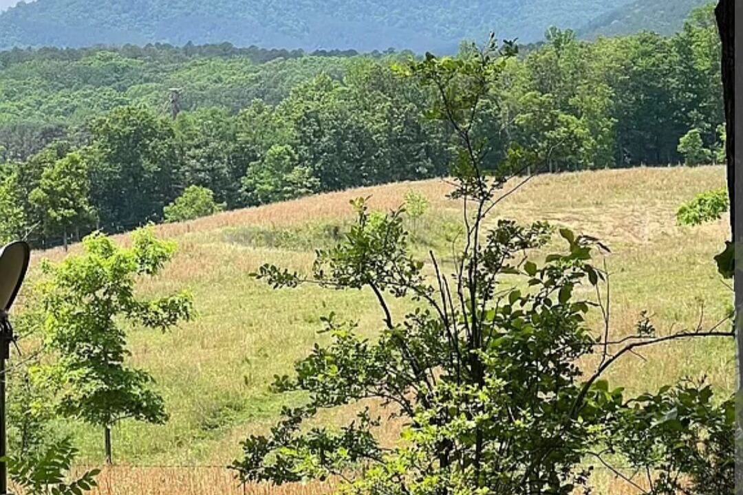 Photo of Outdoor in Glenwood