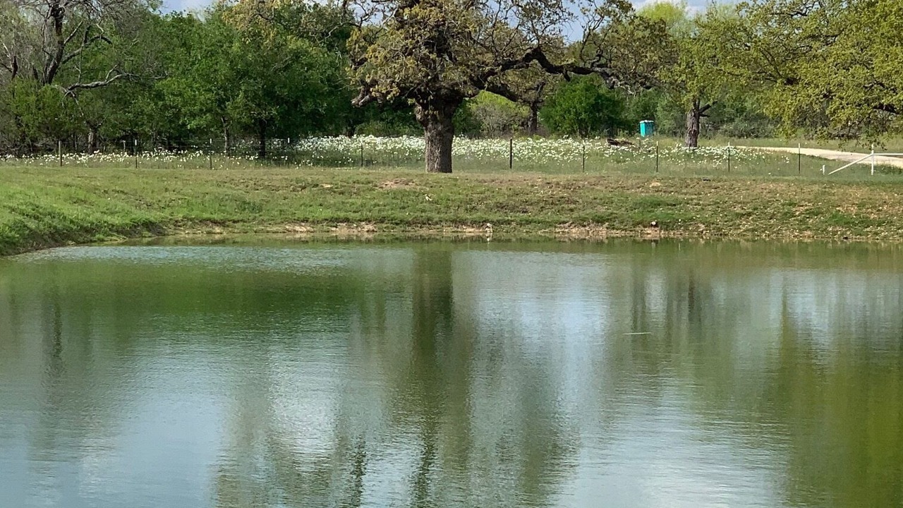 Photo of Outdoor in Sutherland Springs