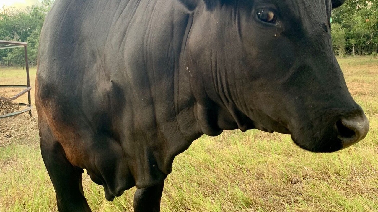 Photo of Outdoor in Sutherland Springs