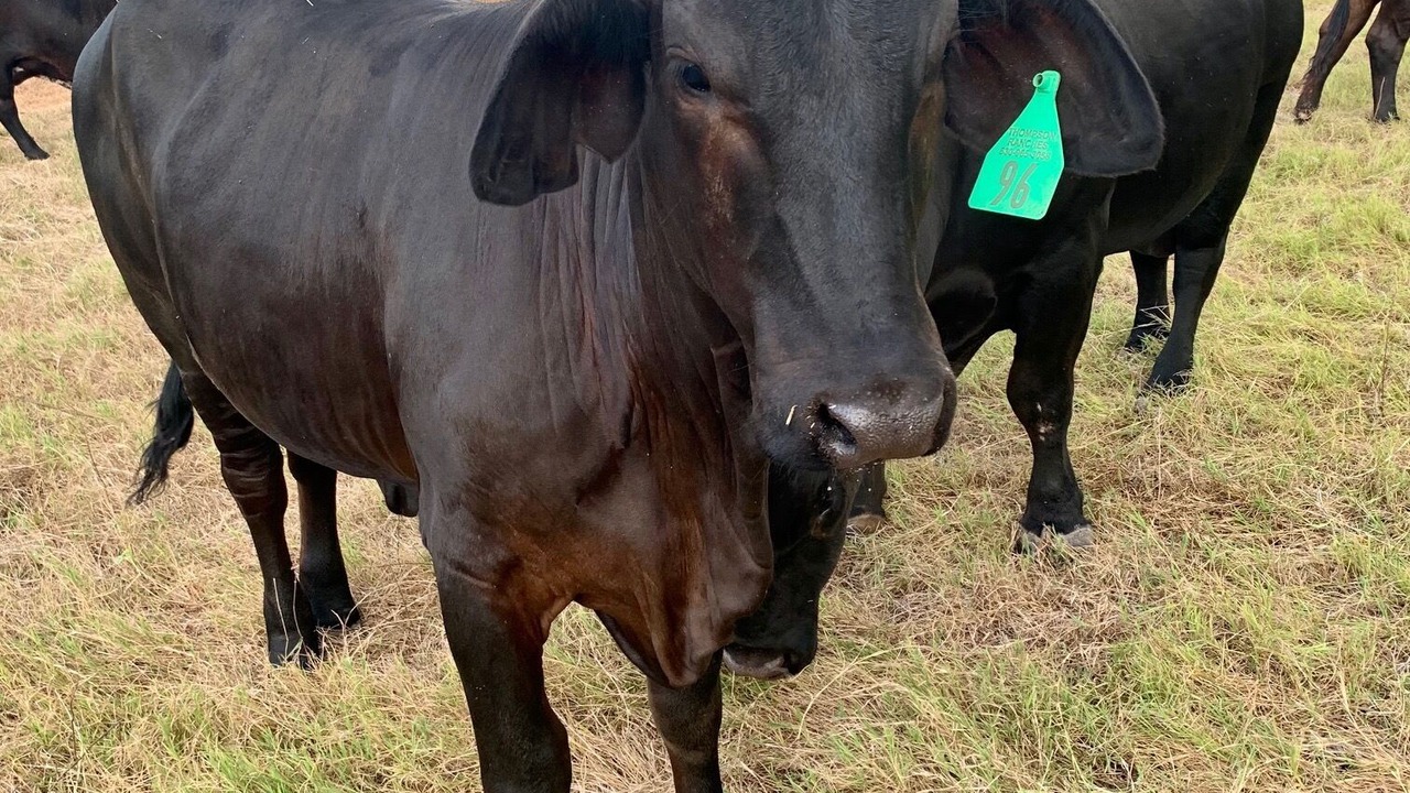 Photo of Outdoor in Sutherland Springs