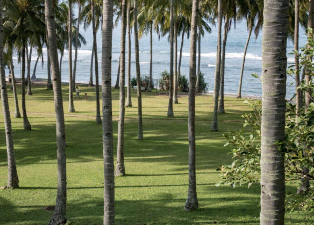 Photo of Others in Senggigi