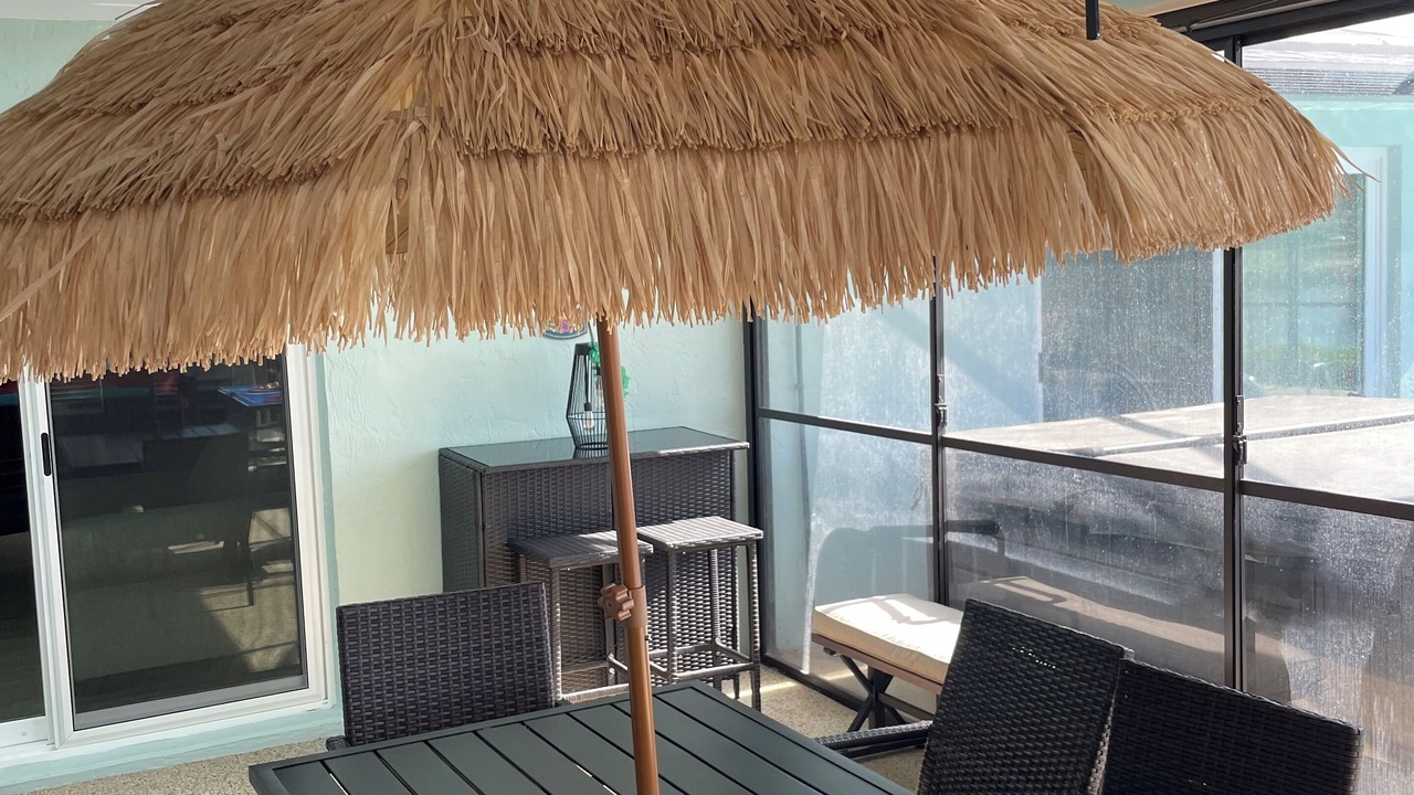 Photo of Outdoor in Palm Harbor