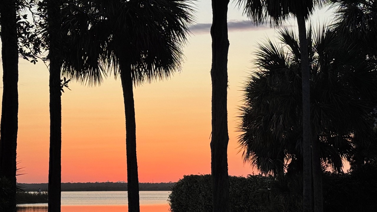 Photo of Others in Palm Harbor