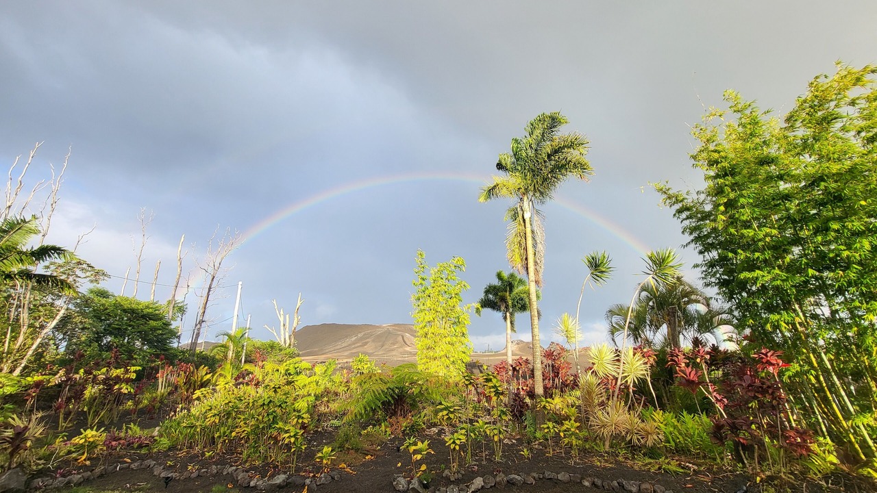 Photo of Others in Leilani Estates