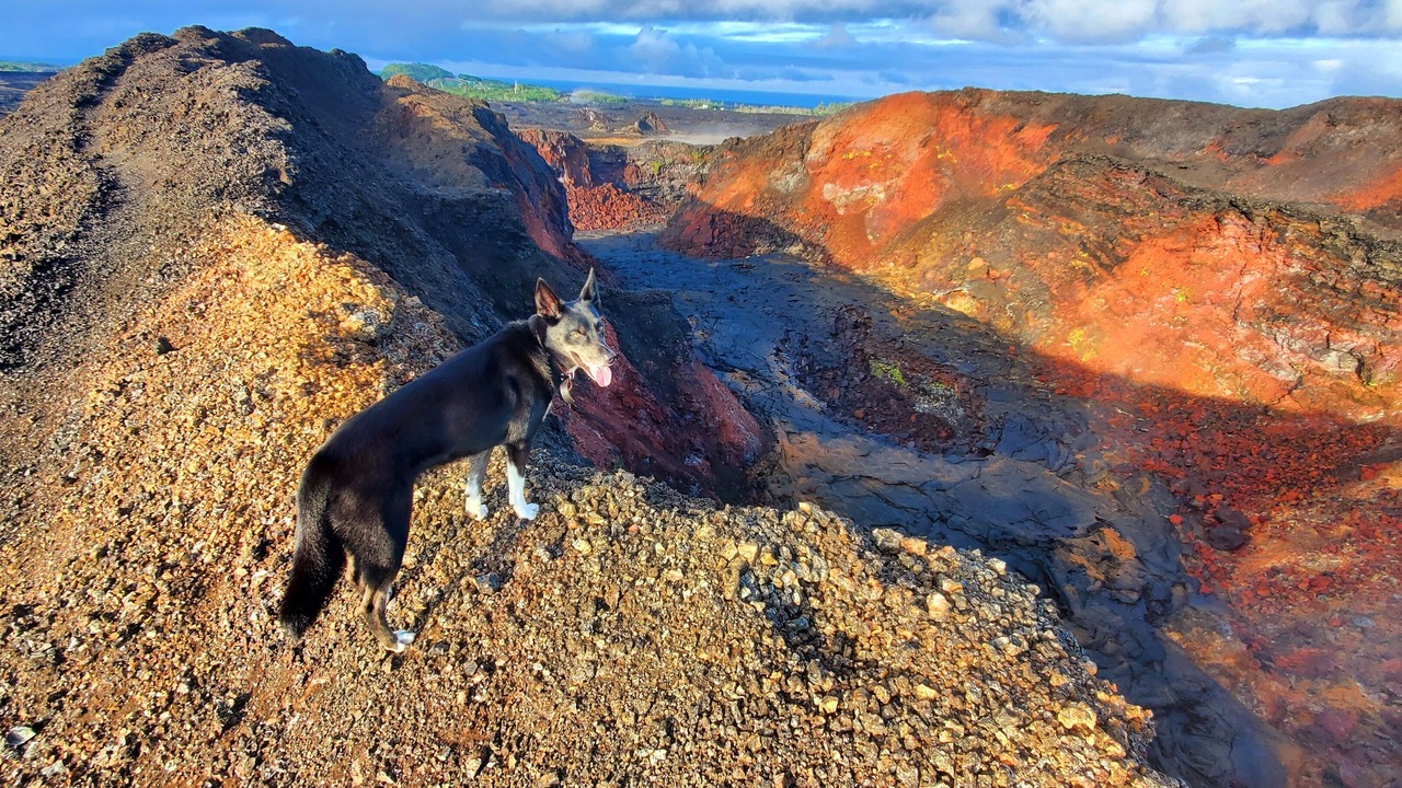 Photo of Others in Leilani Estates
