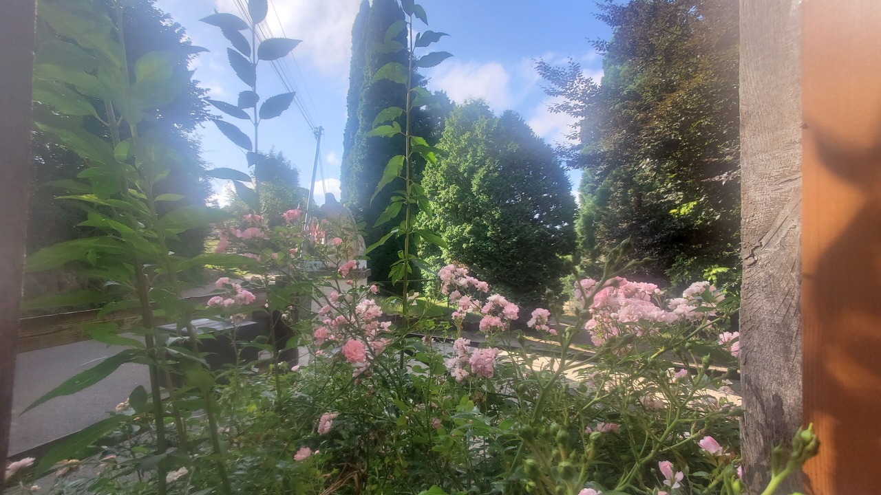 Photo of Outdoor in Aubry-le-Panthou
