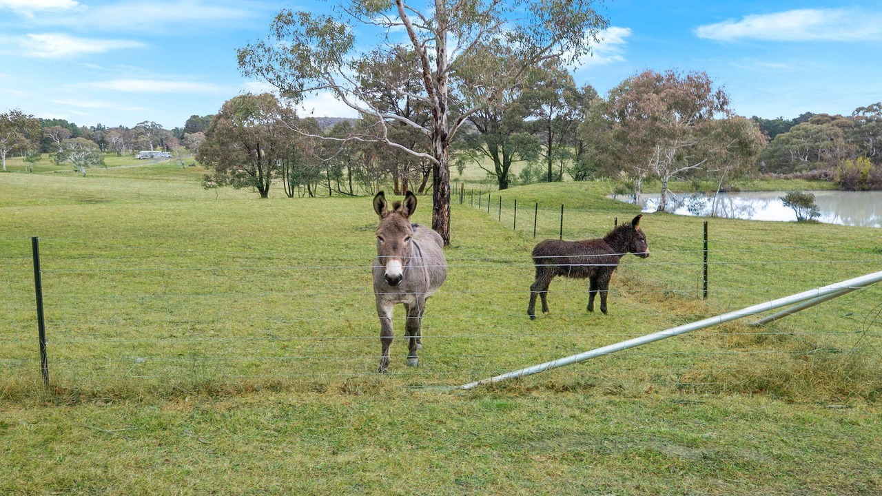 Photo of Others in Sutton Forest