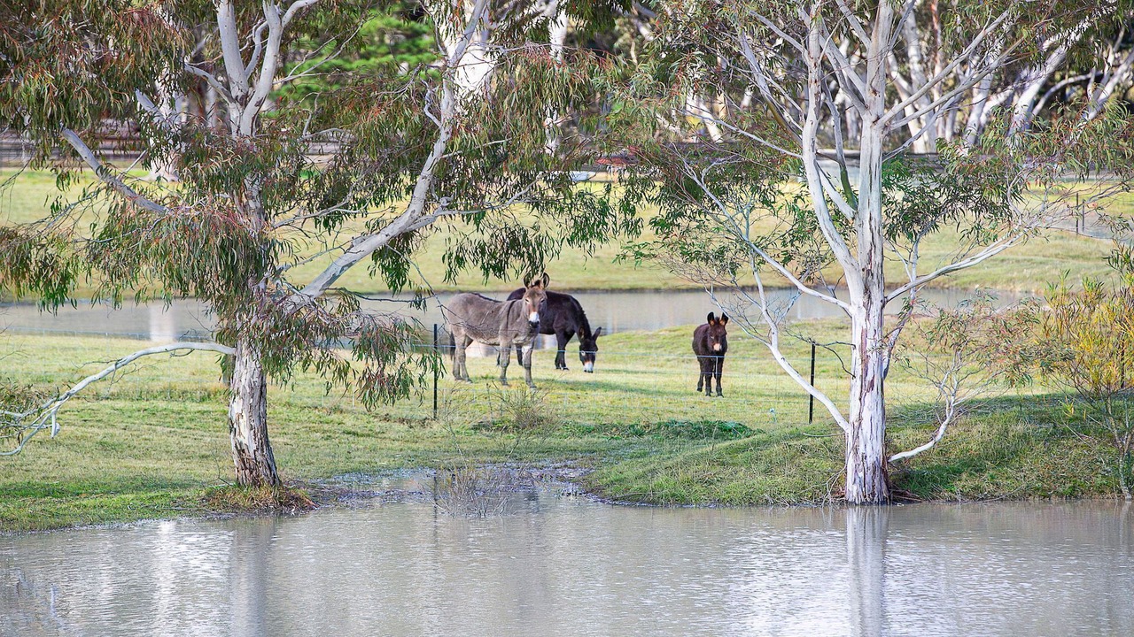 Photo of Others in Sutton Forest