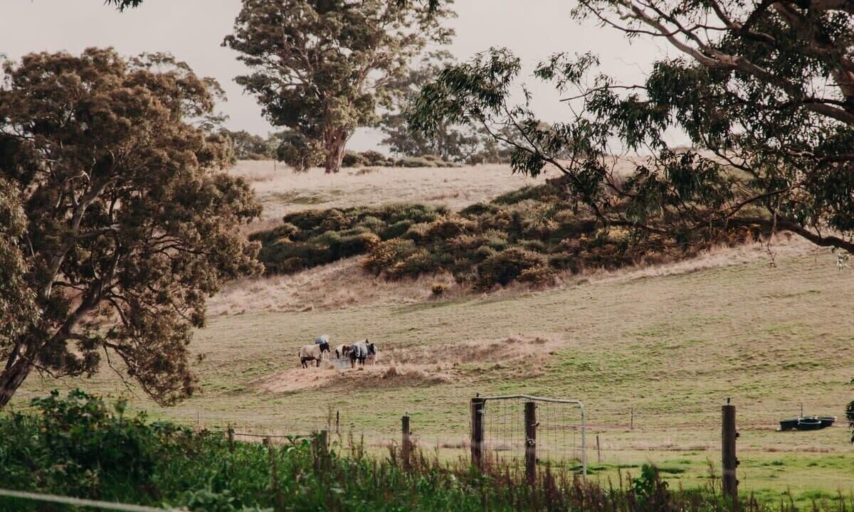 Photo of Others in Macclesfield
