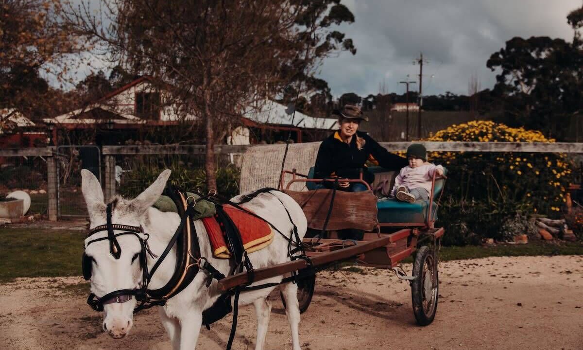 Photo of Others in Macclesfield
