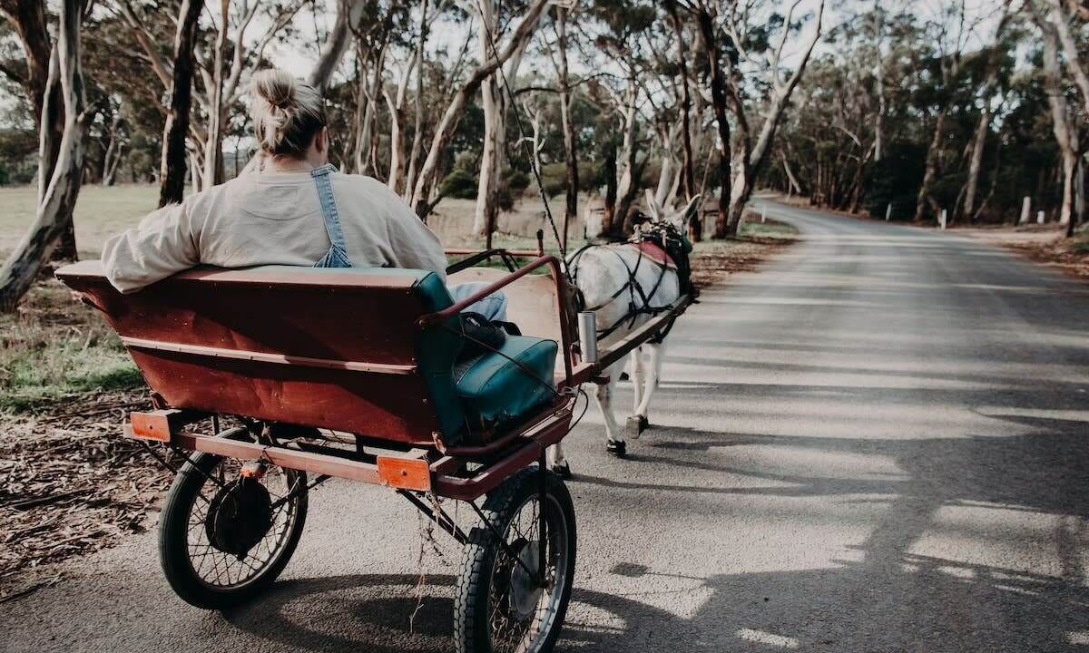 Photo of Others in Macclesfield