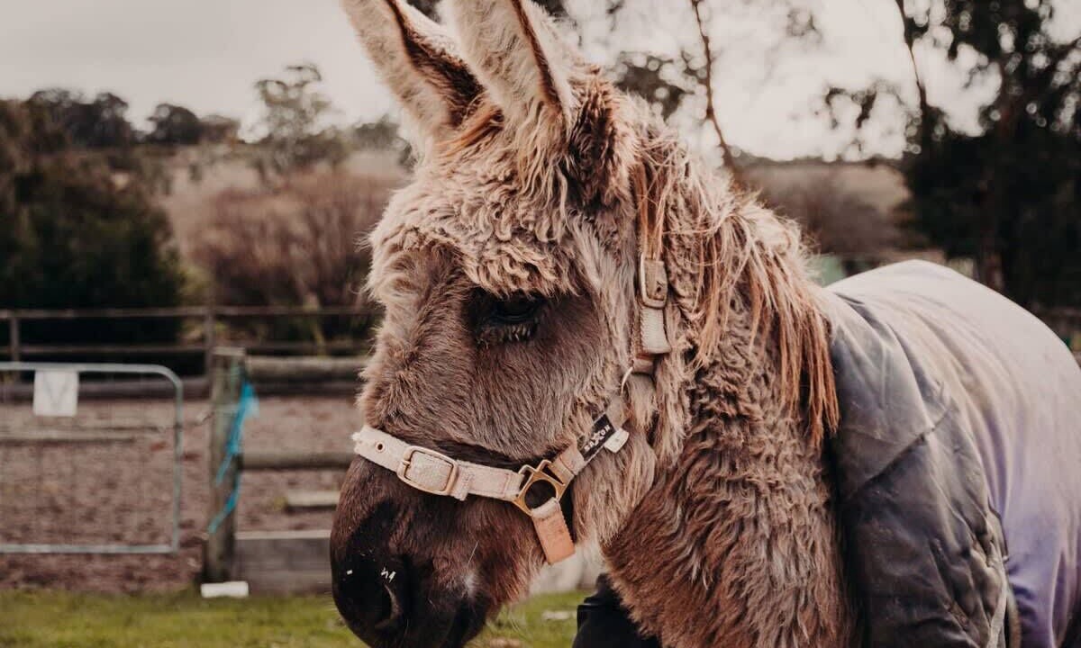 Photo of Others in Macclesfield
