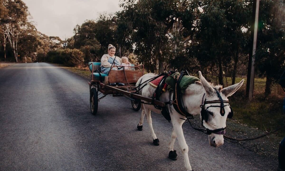 Photo of Others in Macclesfield