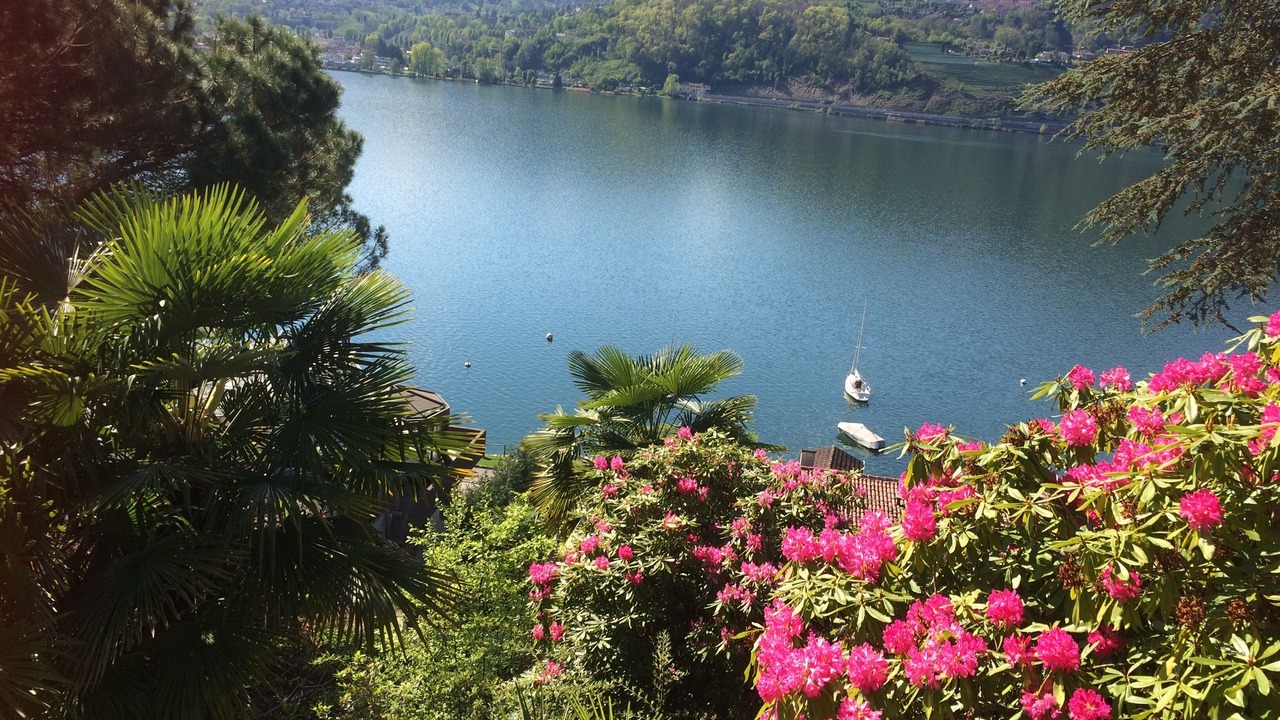 Photo of Outdoor in Collina d'Oro