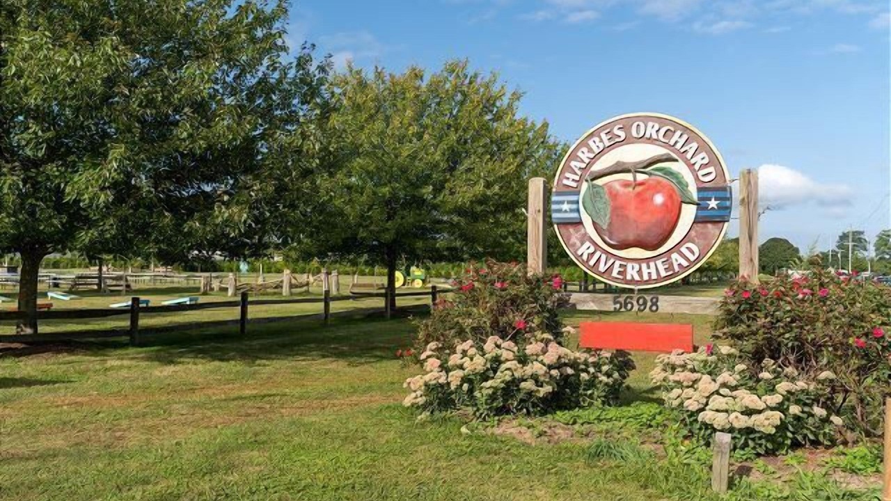 Photo of Others in Mattituck