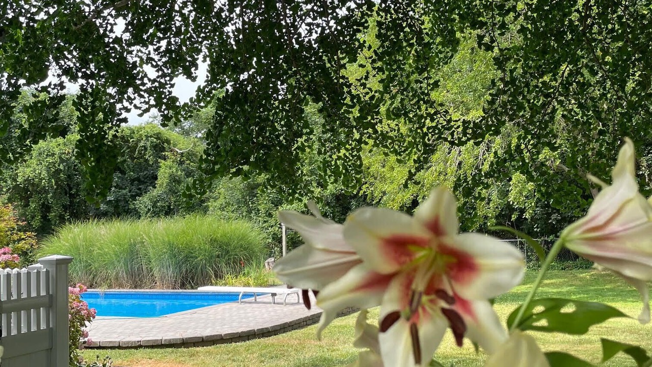 Photo of Others in Mattituck