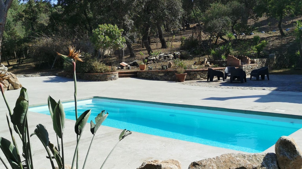 Photo of Outdoor in Plage d'Argeles
