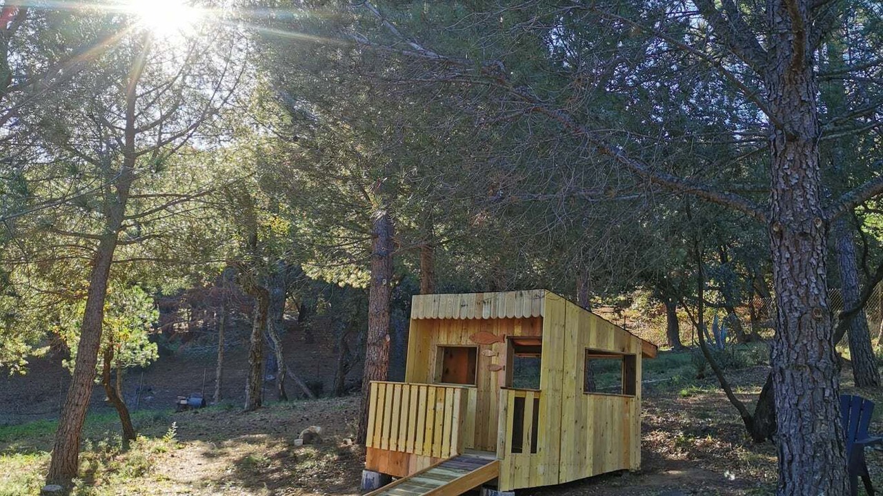 Photo of Outdoor in Plage d'Argeles