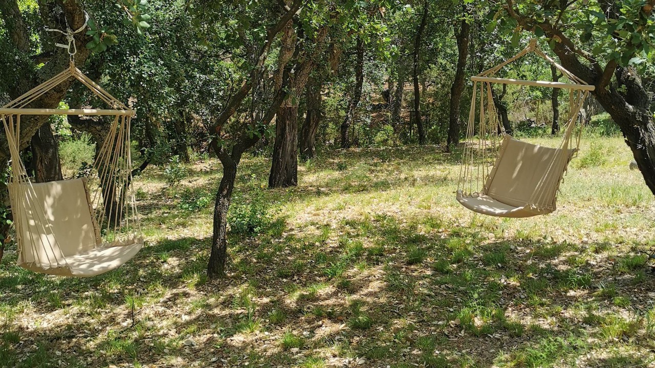 Photo of Outdoor in Plage d'Argeles
