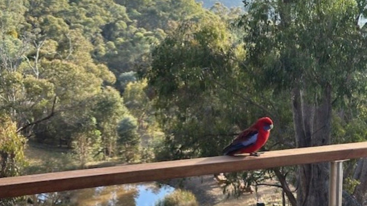 Photo of Others in Eildon