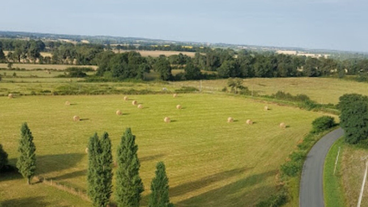 Photo of Outdoor in Daon
