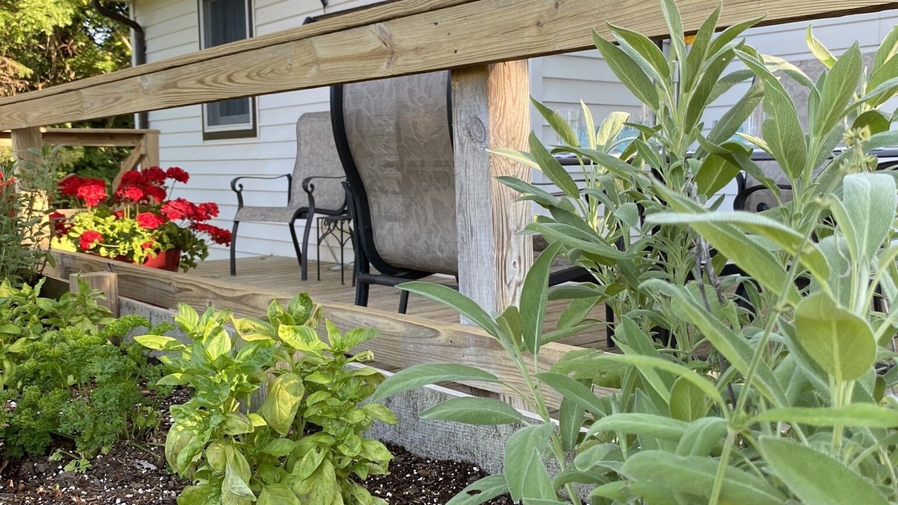 Photo of Outdoor in Hollowville