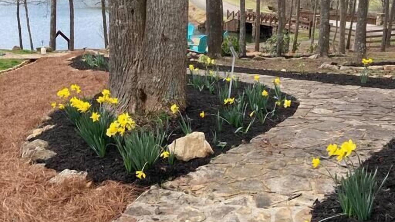 Photo of Others in Ellijay