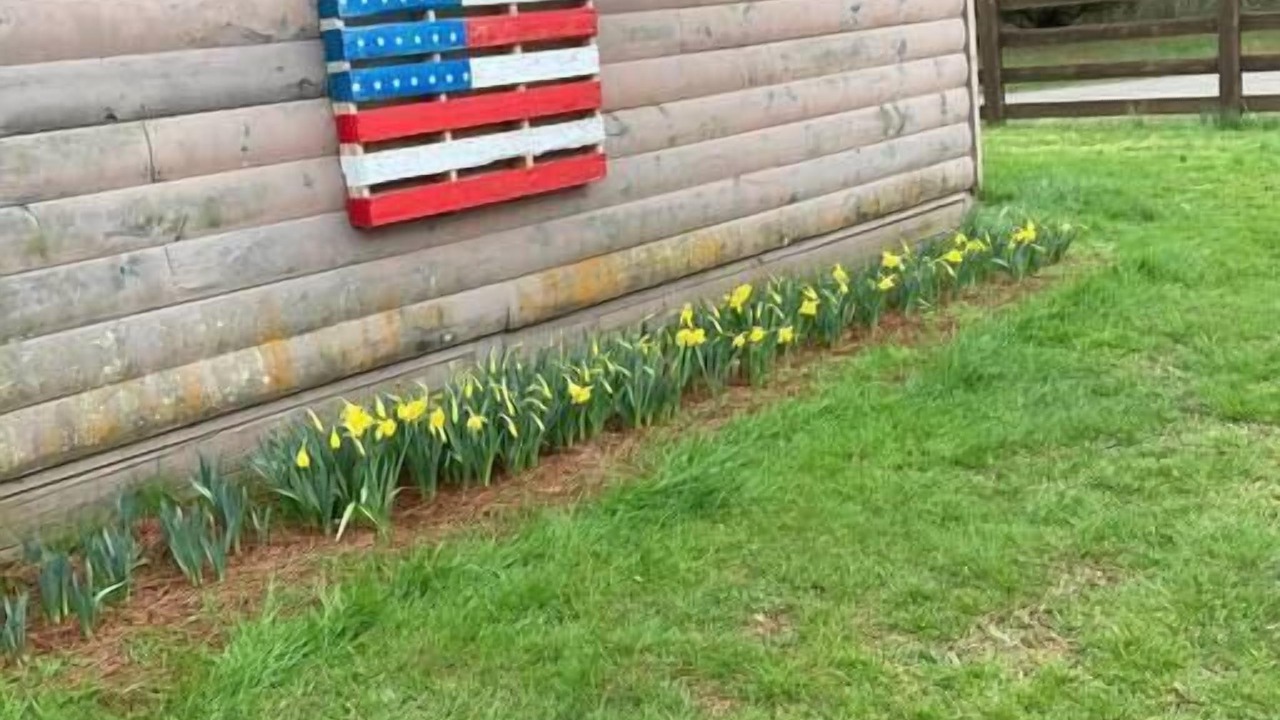 Photo of Others in Ellijay