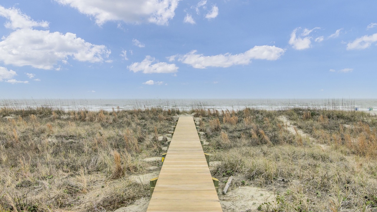Photo of Others in Isle of Palms