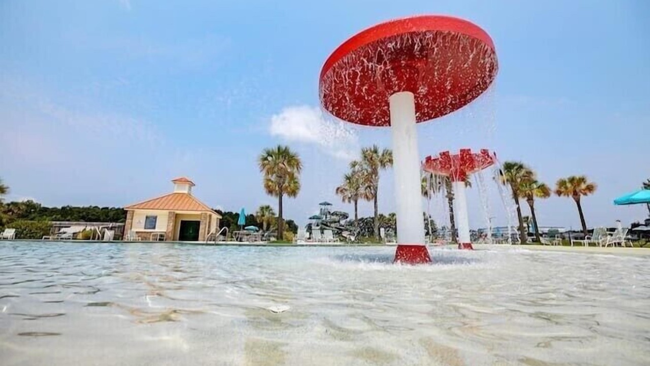 Photo of Outdoor in Port Wentworth