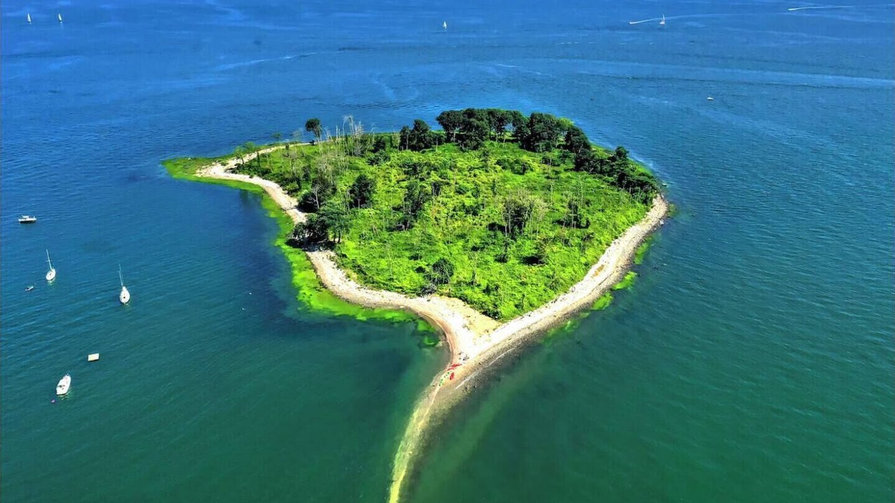 Photo of Others in Devon