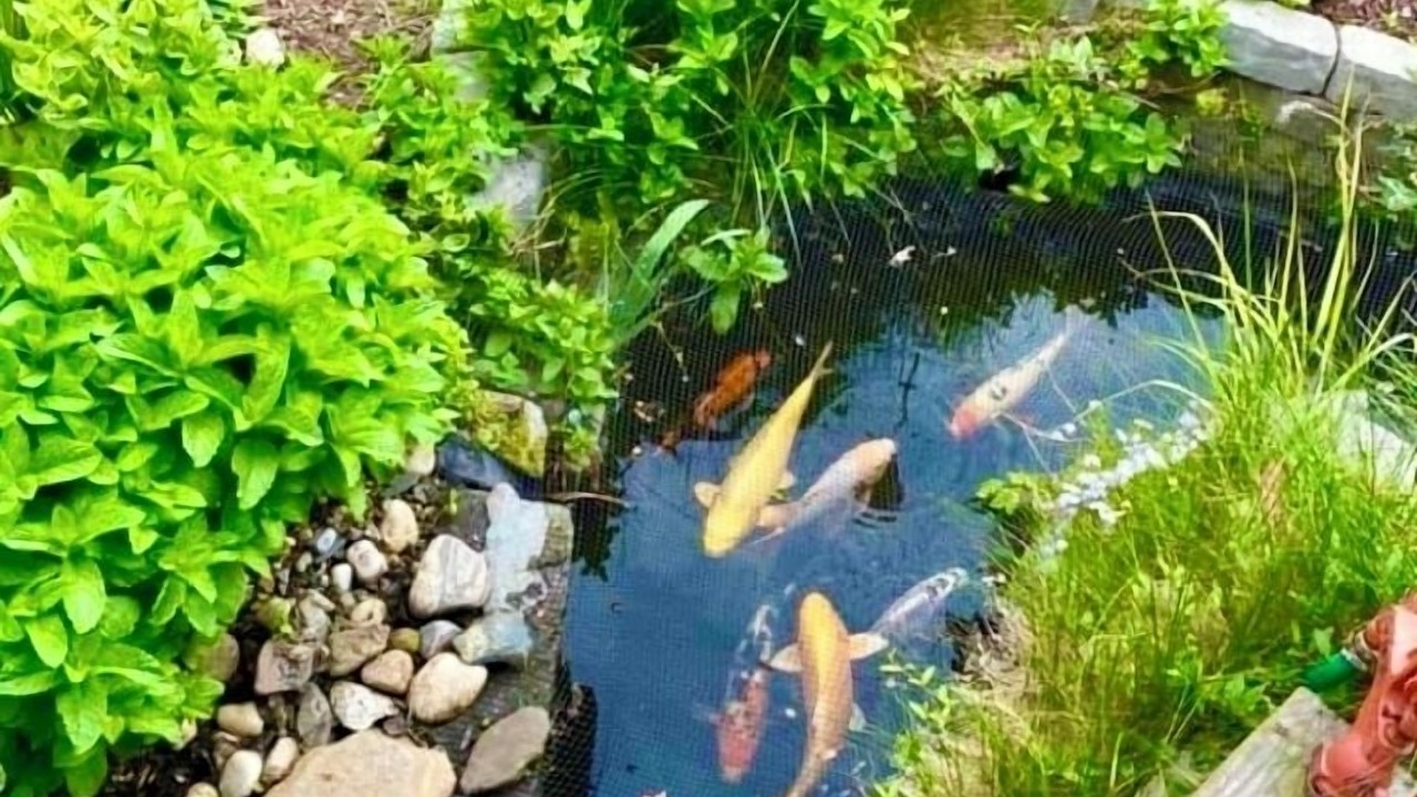 Photo of Outdoor in Devon