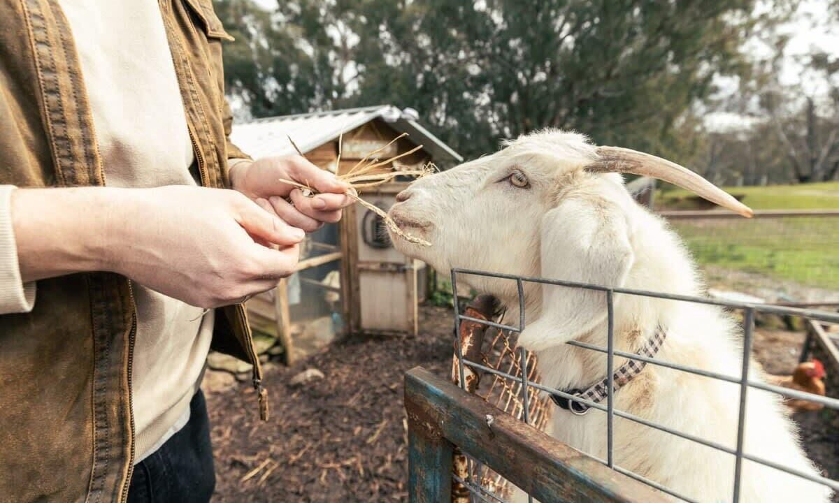 Photo of Outdoor in Axedale