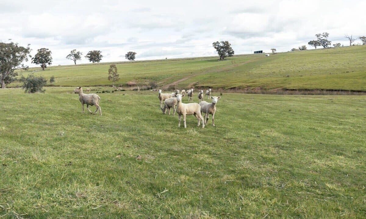 Photo of Outdoor in Axedale