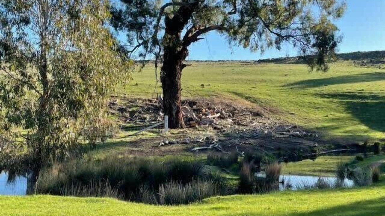 Photo of Others in Axedale