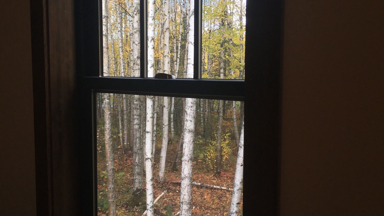 Photo of Others in Susitna North