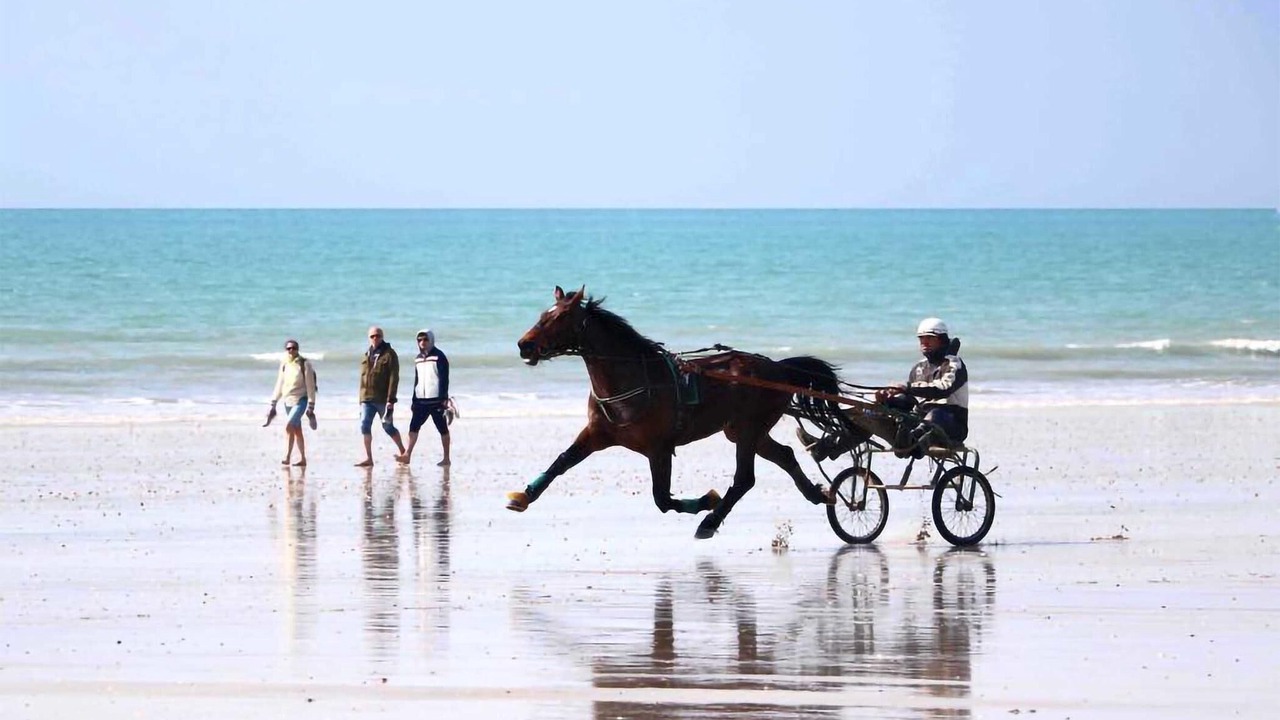 Photo of Others in Creances