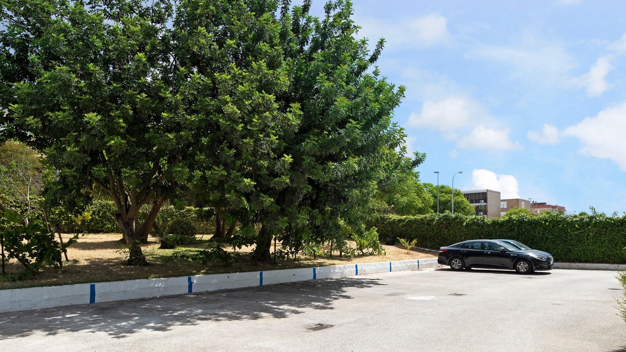 Photo of Outdoor in Jerez de la Frontera