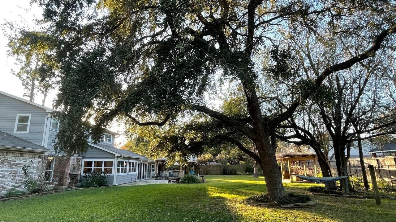 Photo of Outdoor in Katy