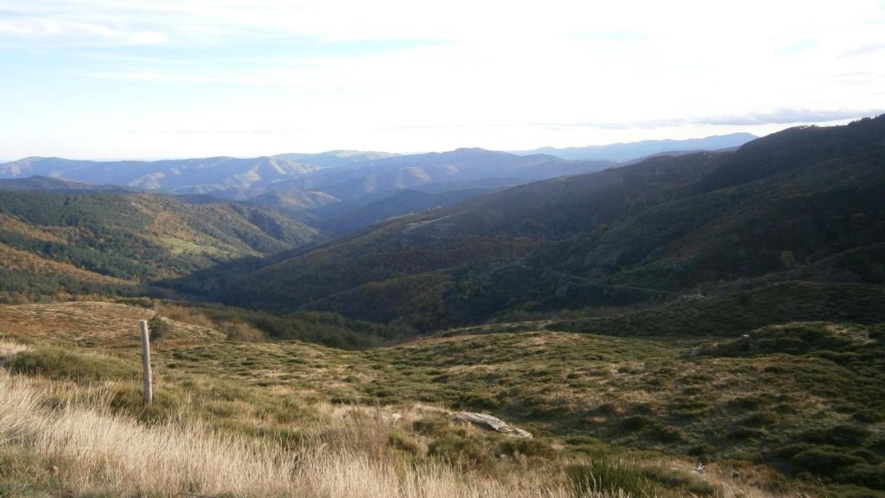 Photo of Others in Seigneulles