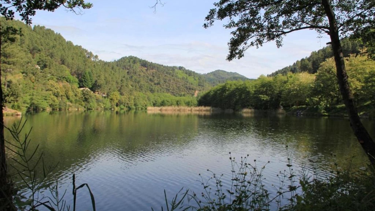 Photo of Others in Seigneulles