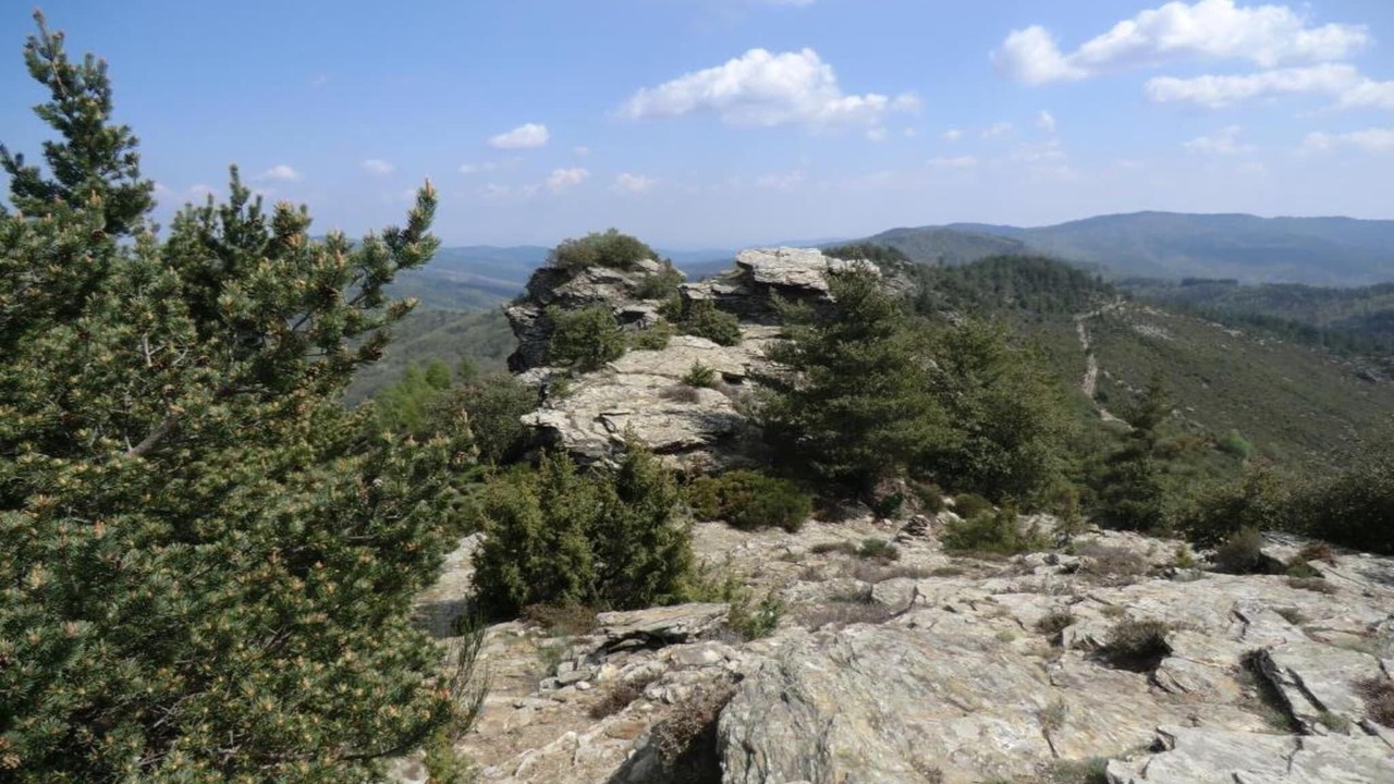 Photo of Others in Seigneulles