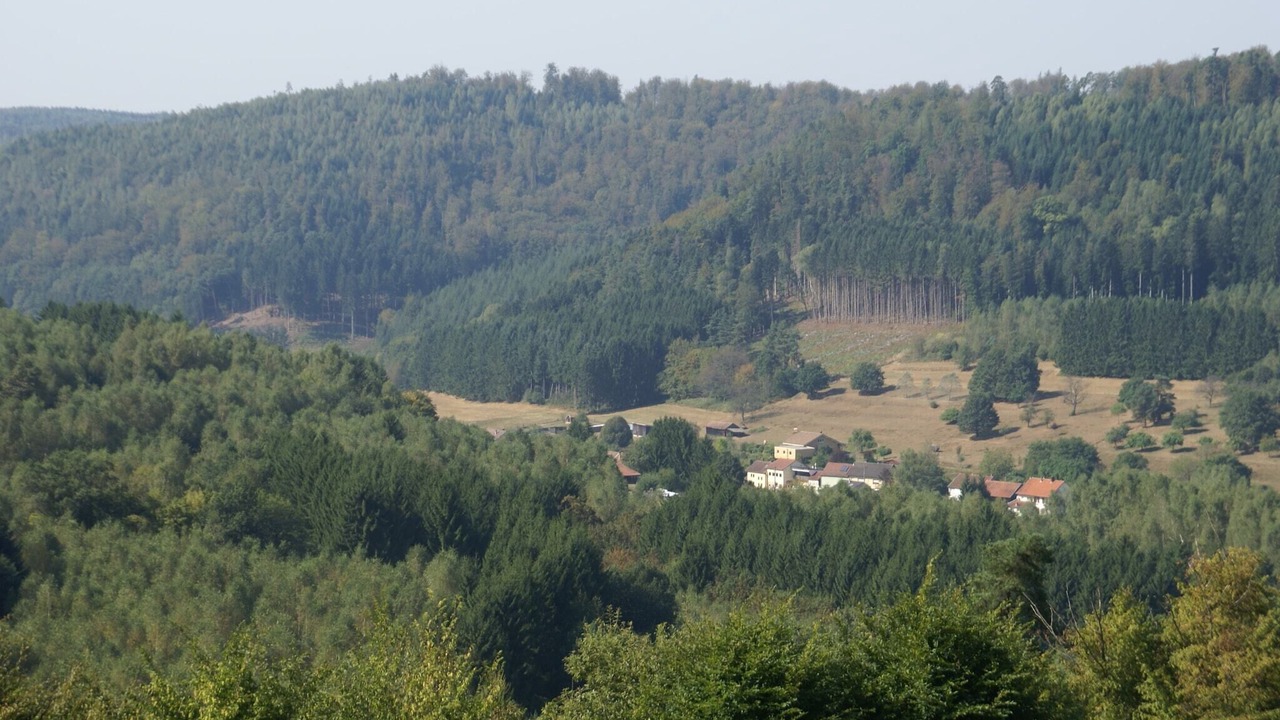 Photo of Others in Seigneulles