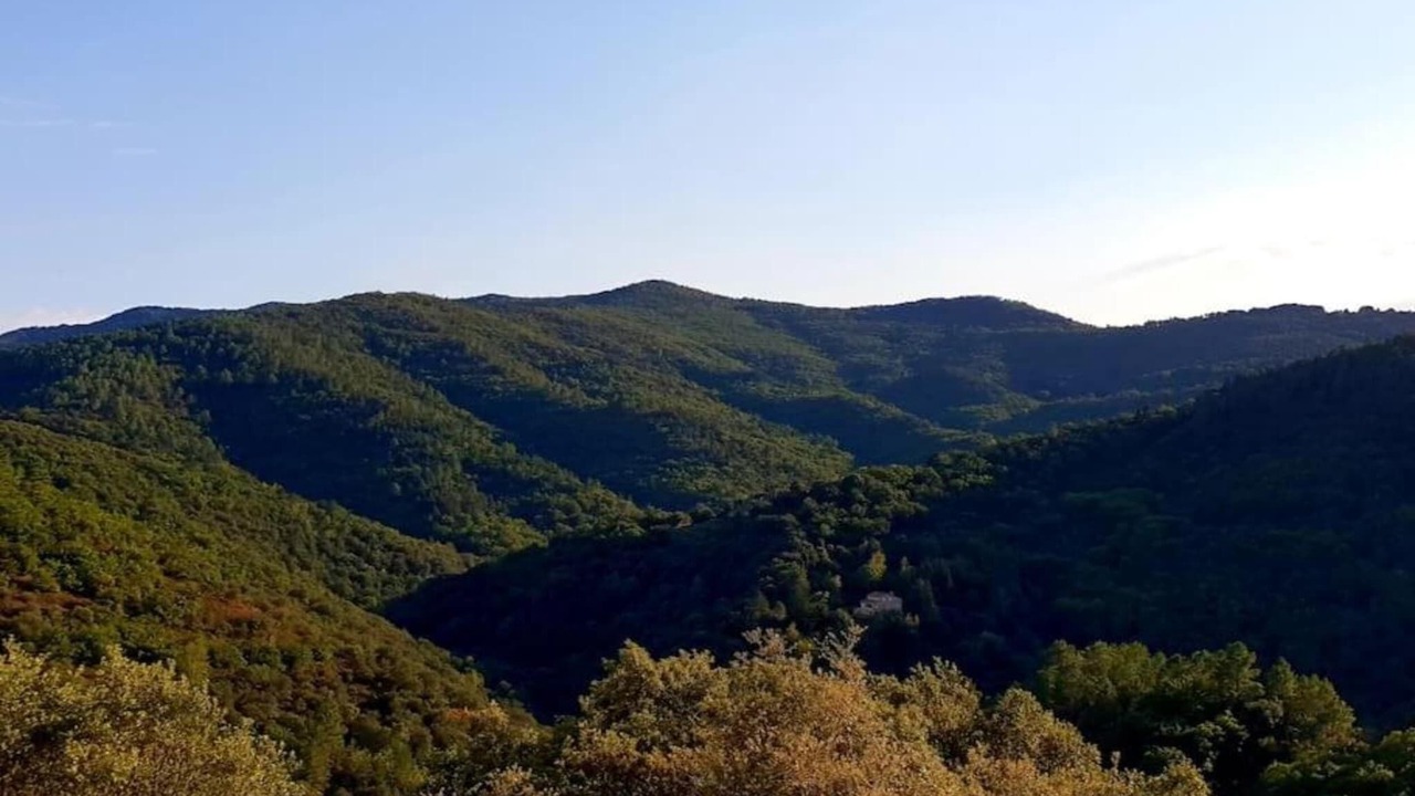 Photo of Others in Seigneulles