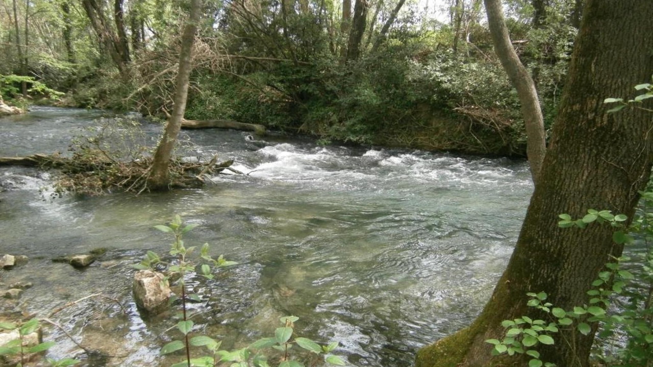 Photo of Others in Seigneulles