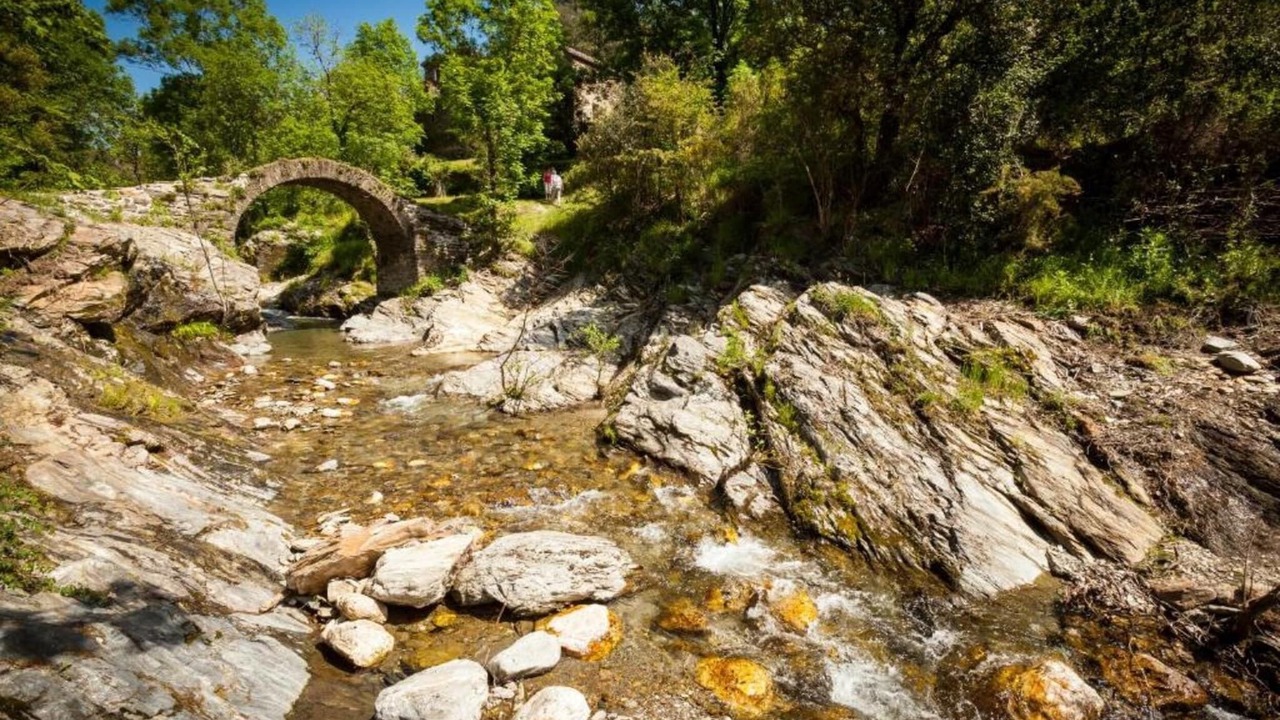 Photo of Others in Seigneulles