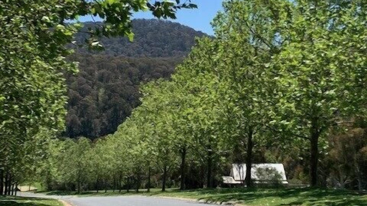 Photo of Others in Merrijig