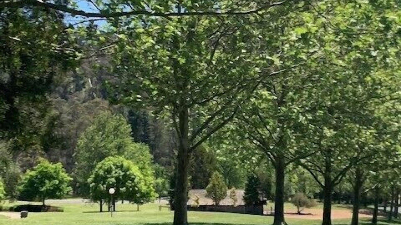 Photo of Outdoor in Merrijig